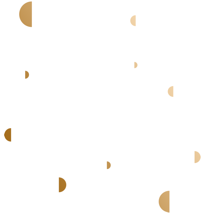 https://www.amlanconsult.com/wp-content/uploads/2024/01/briks-design.png